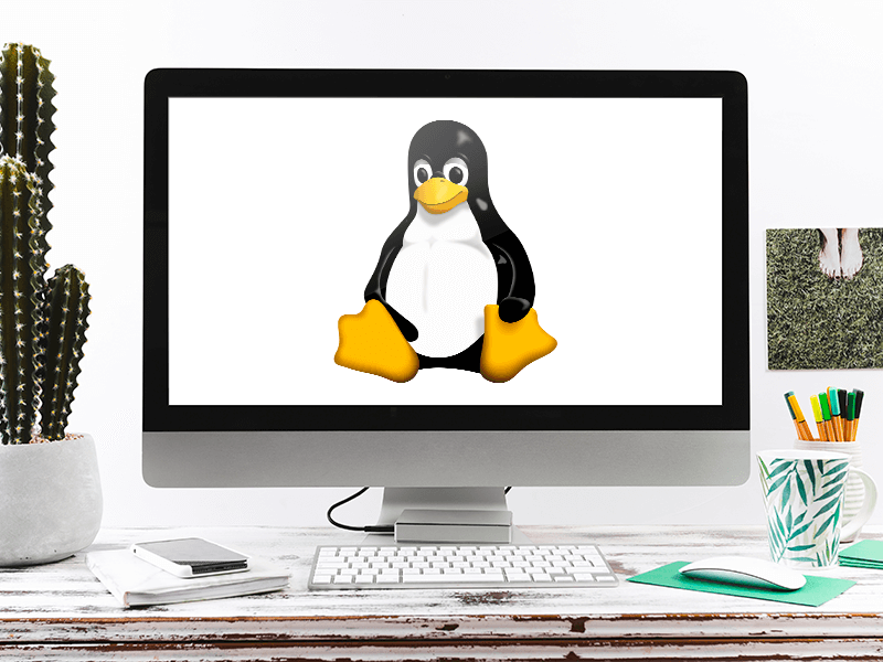 Linux en los Mac con chip M1, ya es posible