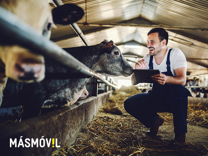 MsMvil vende a Onivia 1,1 millones de conexiones en zonas rurales