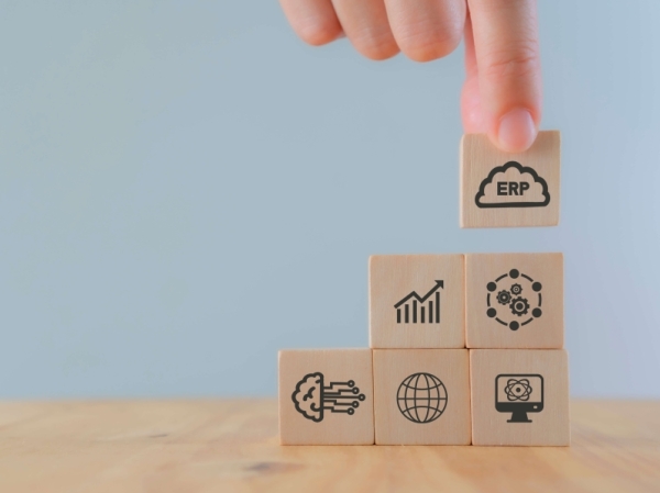 ¿Cómo se impulsa la eficiencia organizativa con sistemas de gestión ERP? ¿Cómo se impulsa la eficiencia organizativa con sistemas de gestión ERP?