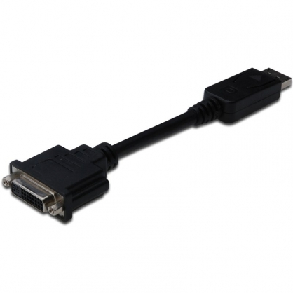 Digitus Cable Adaptador Displayport a DVI 15cm Negro