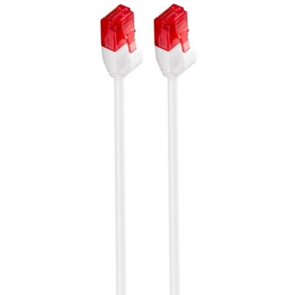 Ewent Cable de Red Slim U/UTP Cat 6 25cm Blanco