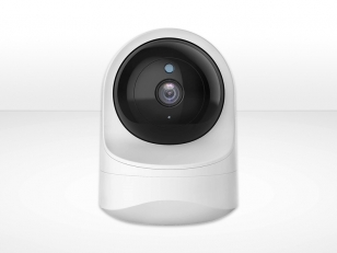 IP Cameras